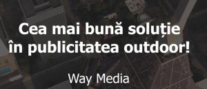 Antoanela Vasilescu, Radu Vasilescu și Egustos Impex SRL – implicare în montarea de steaguri publicitare ilegale fără avize PMB