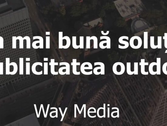 Antoanela Vasilescu, Radu Vasilescu și Egustos Impex SRL – implicare în montarea de steaguri publicitare ilegale fără avize PMB